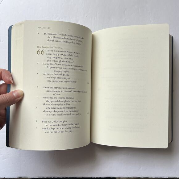 Illuminated Scripture Journal The Psalms ESV English Standard Version Bible - Picture 6 of 8